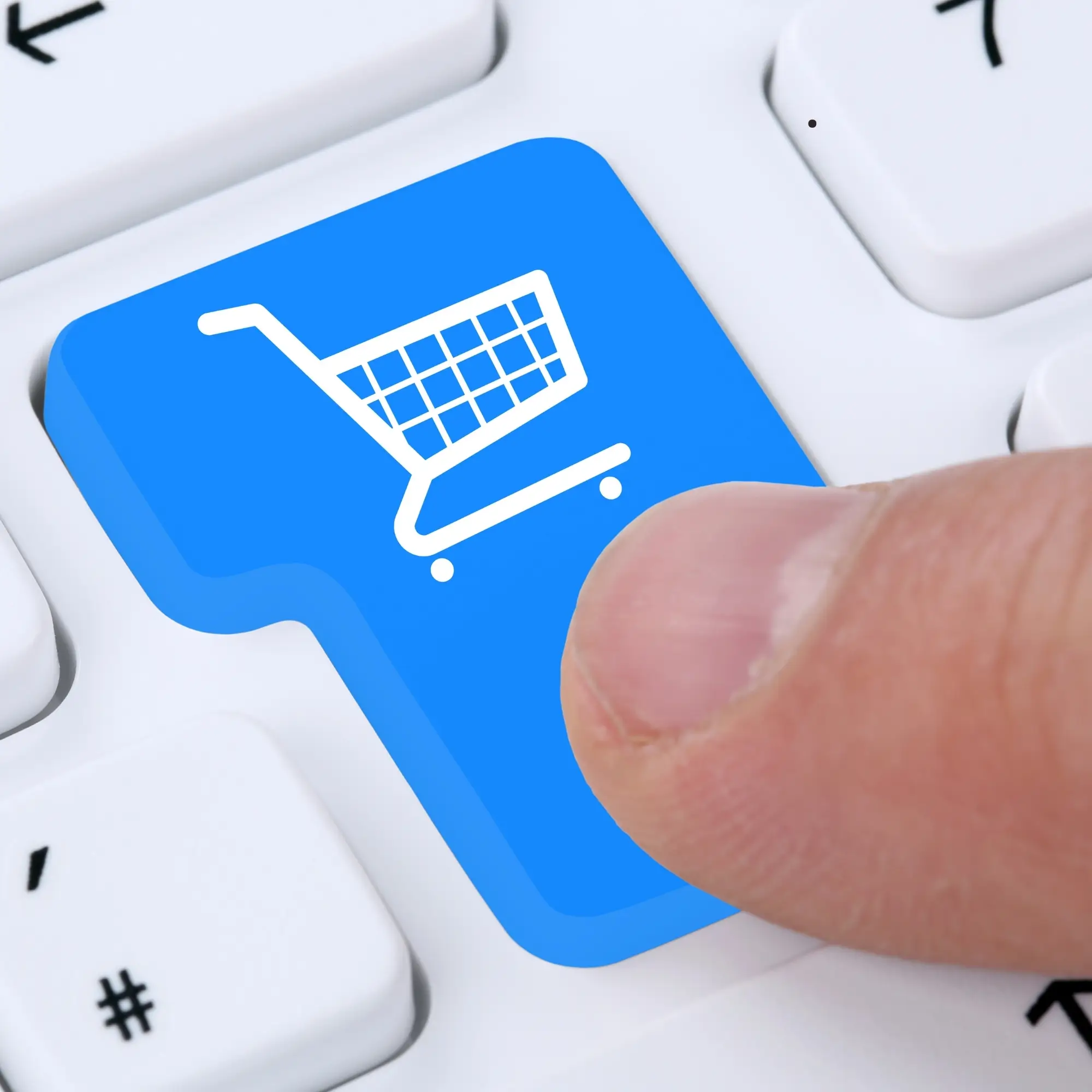 Teklif ve Sipariş Takibi